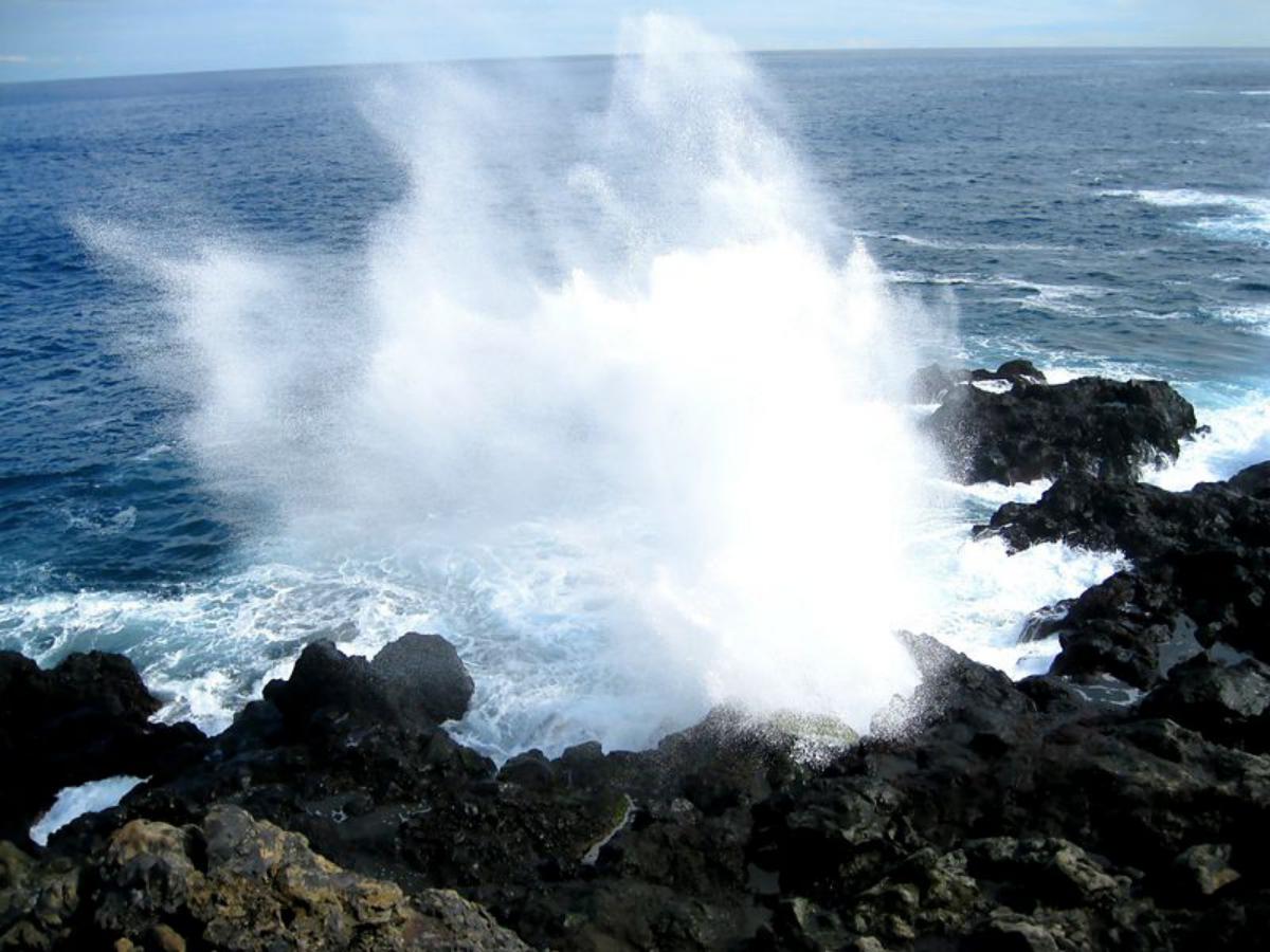 Location-StLeu-Réunion-16